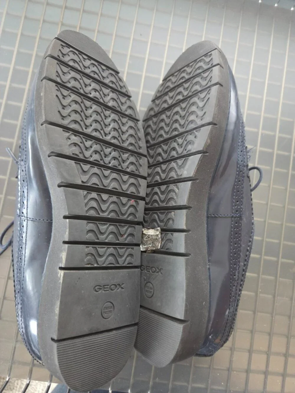 Geox Kattilou blue perforated platform wingtip oxfords 8.5